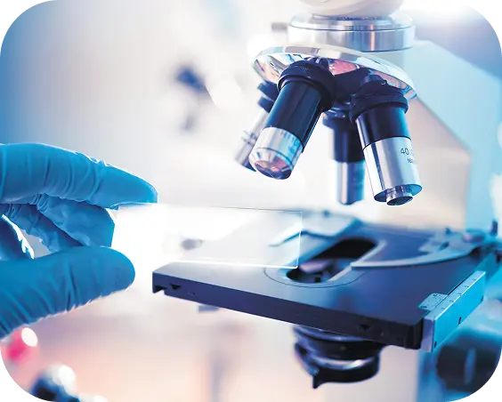Life Sciences Microscope Hand Holding Slide