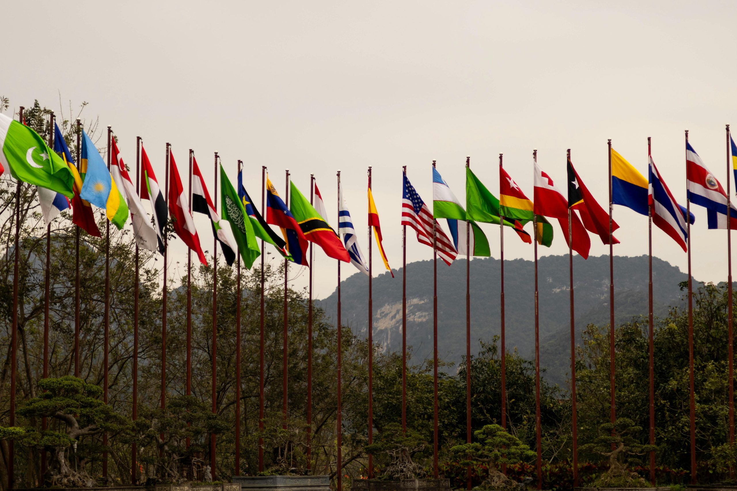 A row of various national flags on tall poles against a mountainous backdrop and overcast sky, symbolizing international unity and diversity.