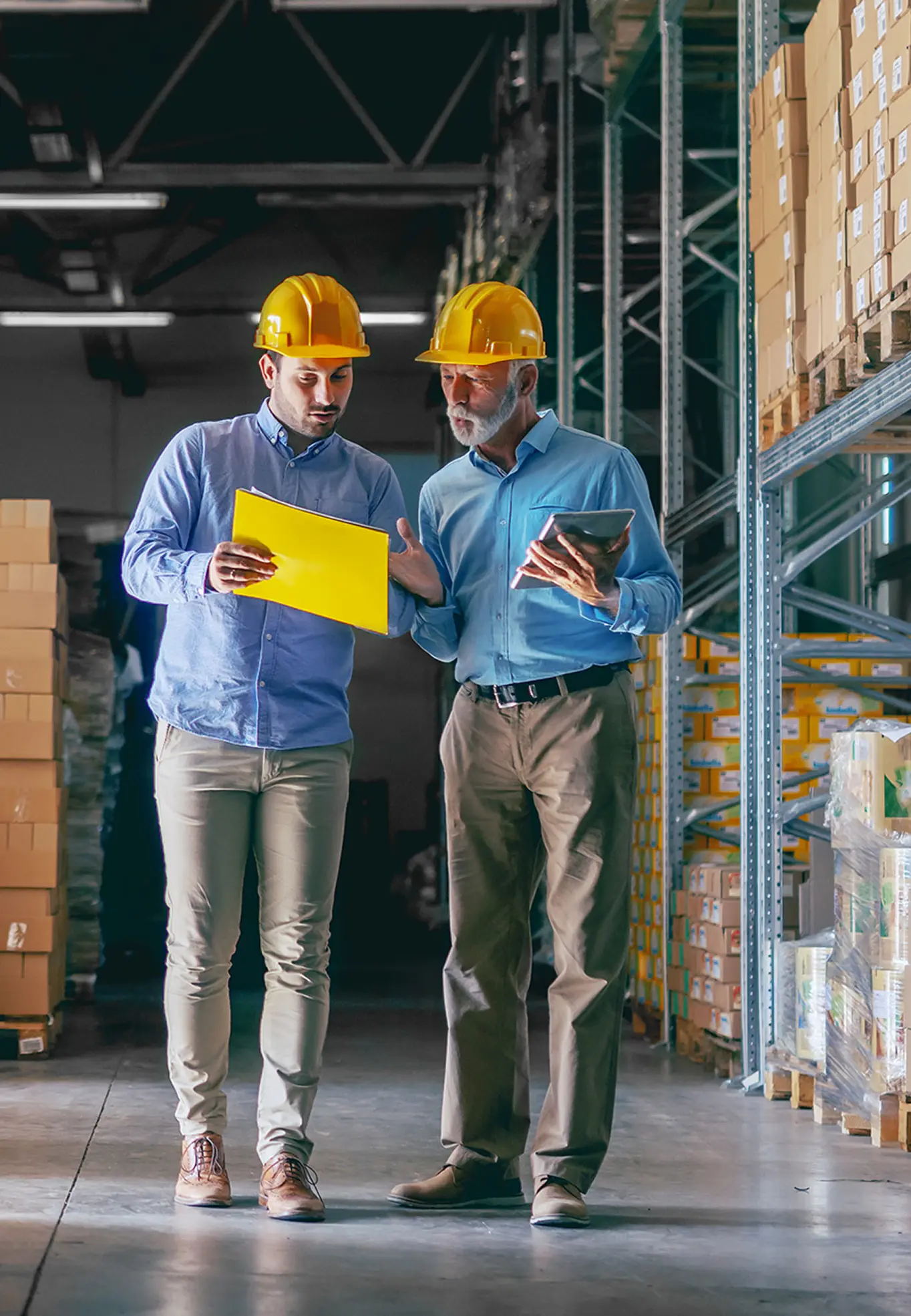 Main challenges in trade & logistics